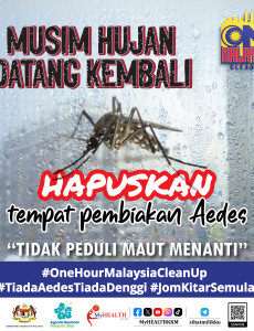 Aedes - Musim Hujan Datang Kembali
